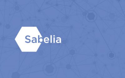 Lanzamos Sabelia: panel online para investigaciones de mercado